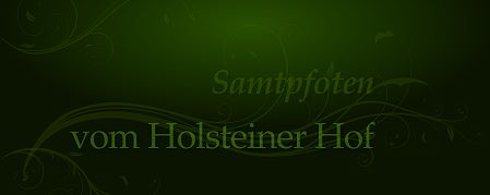 Holsteiner_hof