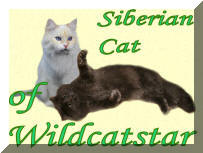 Wildstarcats